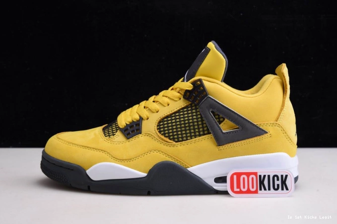 CT8527-700 Retro Lightning Air 4 Jordan 0524